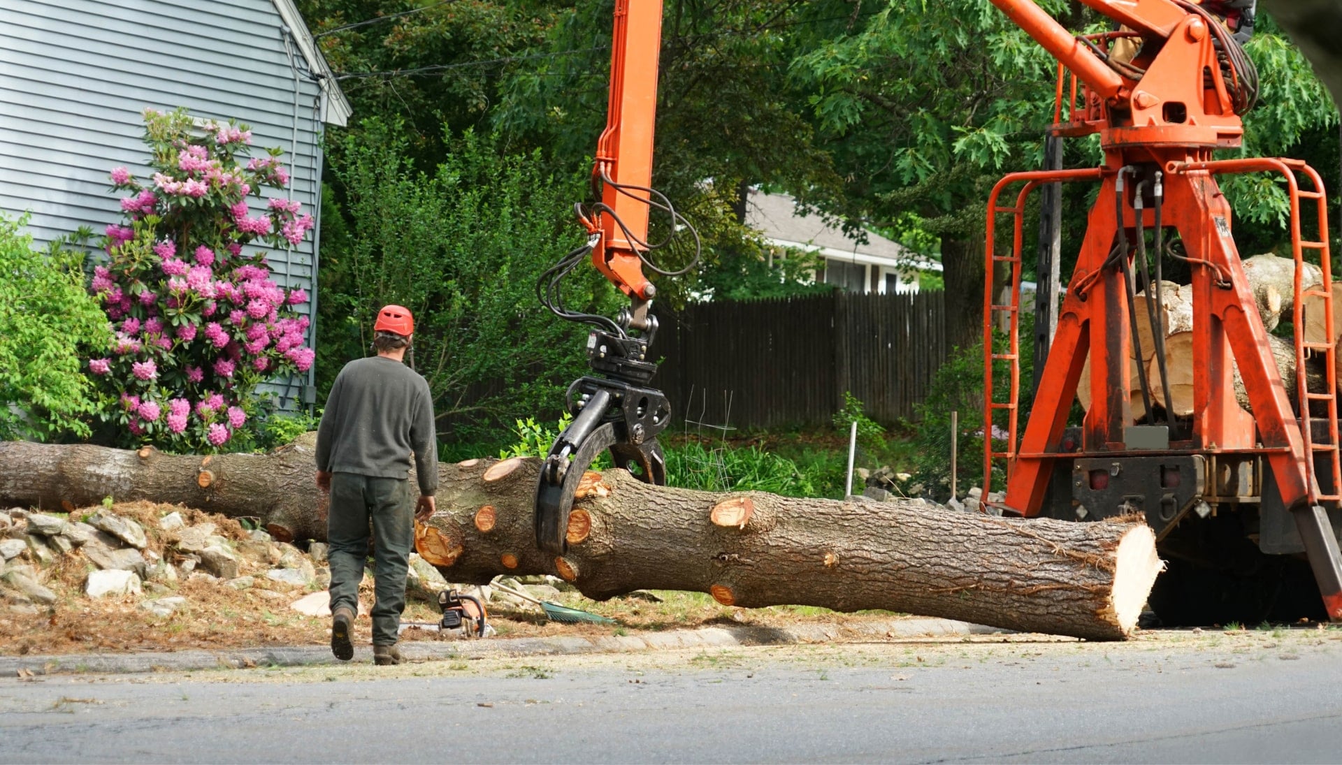 tree removal league city